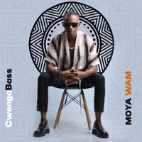Moya Wam (feat. Chief_SA & Sundile) - Single - CwengaBass, Professor & Meez