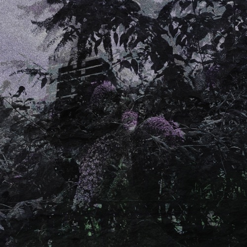 Violet - EP