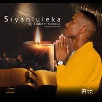 SIYAHLULEKA (feat. Mimmie) - Single - Djeddie bw