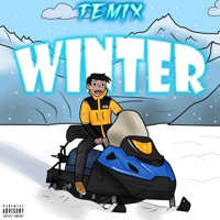 Winter - Single - Temix