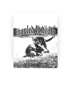 Listen to Wiles, watch music videos, read bio, see tour dates & more!