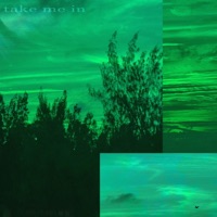 Take Me In (feat. Thrml) - Single - himiko