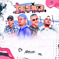 Tesão, Amor e Paixão (feat. Mc 12) - Single - DJ TG Beats, MC Lipivox & DJ Tubarão ZS