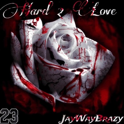 Hard 2 Love (feat. Hozay) - Single