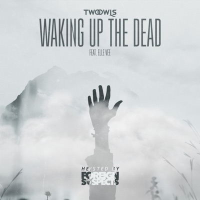 Waking Up The Dead (Heisted by Foreign Suspects) - Single
