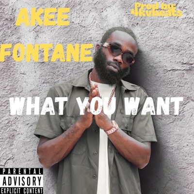 What You Want (feat. Akee Fontane) - Single