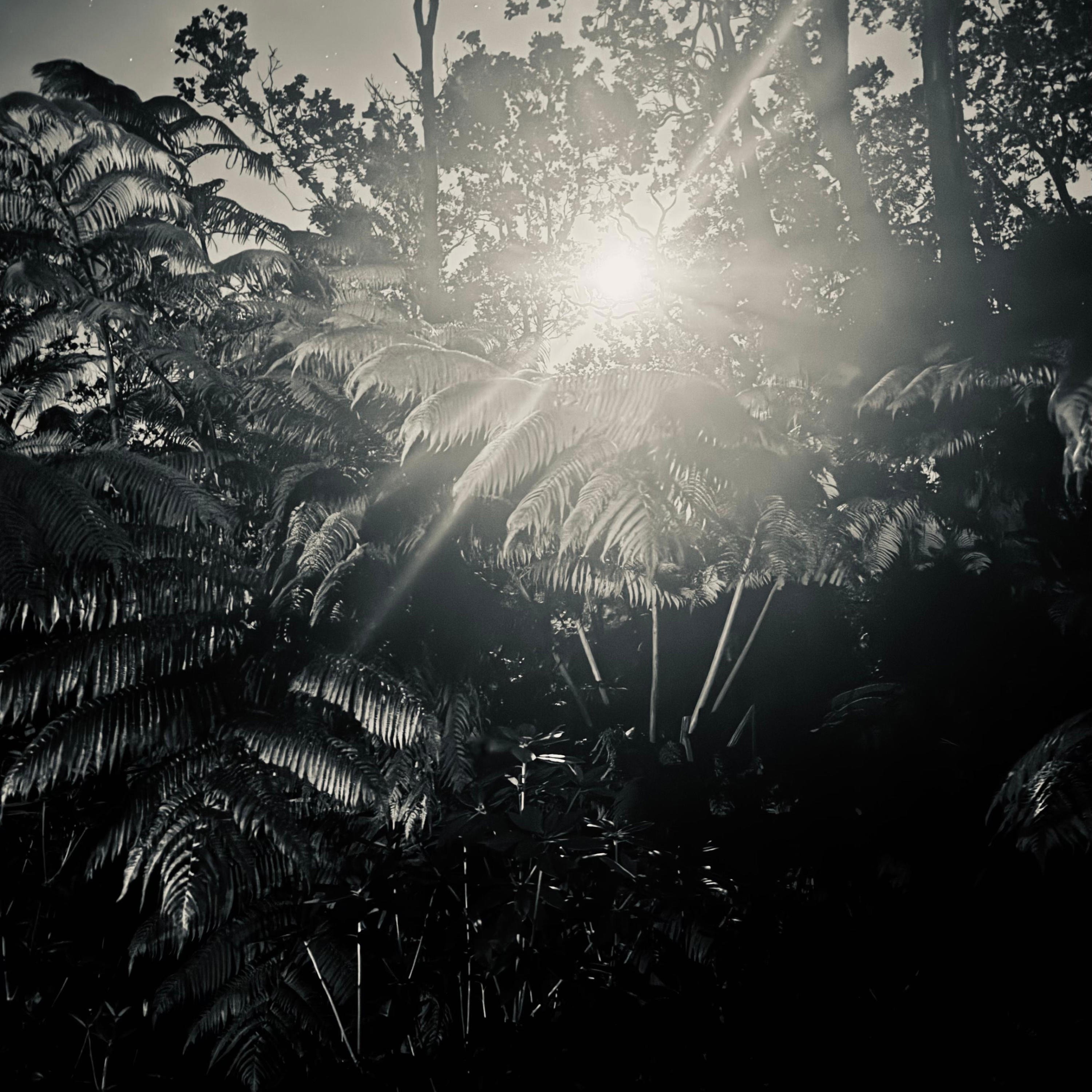 On The Slopes - Single