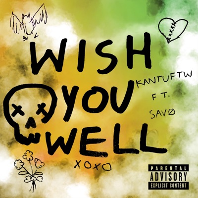 Wish You Well (feat. SAV0) - Single
