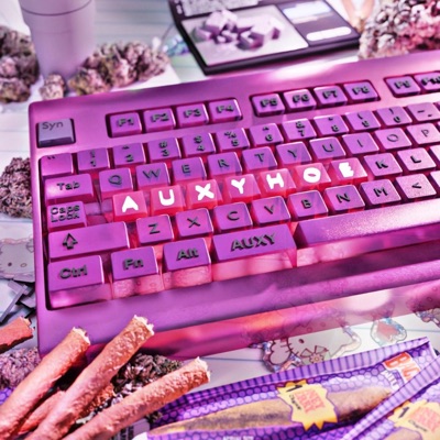 CTRL ALT AUXY