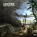 locust