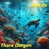 SeaLife artwork