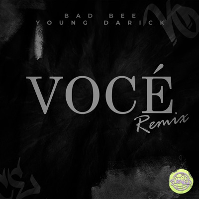 Vocé Remix Slowed (feat. Bad Bee & Young Darick) - Single