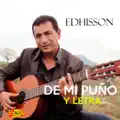 Te Dejé Partir