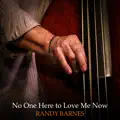 No One Here to Love Me Now