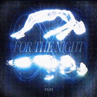 FOR THE NIGHT (feat. julio.) - Single - Follex