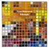 Ryan Stevenson - Mosaic