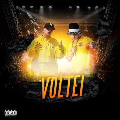 Voltei - Single