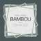 Bambou (Supersvelt Remix Edit) - Ness Ludwig lyrics