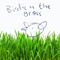 Birdie in the Grass (feat. Antonio Forcione) artwork