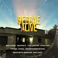 Freedom Song