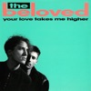 Icon Your Love Takes Me Higher - Single
