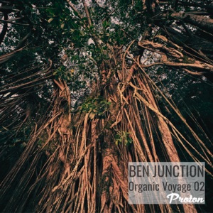 Organic Voyage 02 (DJ Mix)