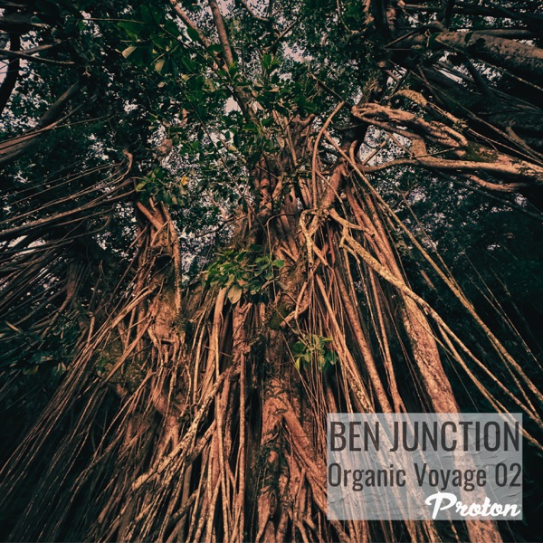 Organic Voyage 02 (DJ Mix)