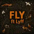 Fly