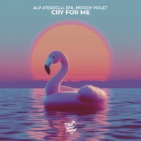 Cry for Me - Single - Alp Atesoglu, EFA & Moody Violet