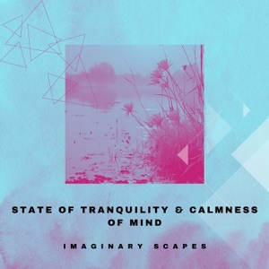 State of Tranquility & Calmness of Mind