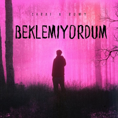 Beklemiyordum (feat. Rowy) - Single