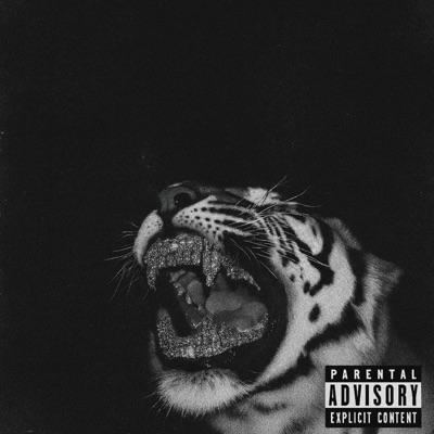 nø mëlødÿ - Single