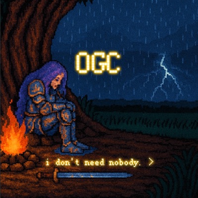 I Don't Need Nobody - Single