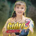 Cidro 3