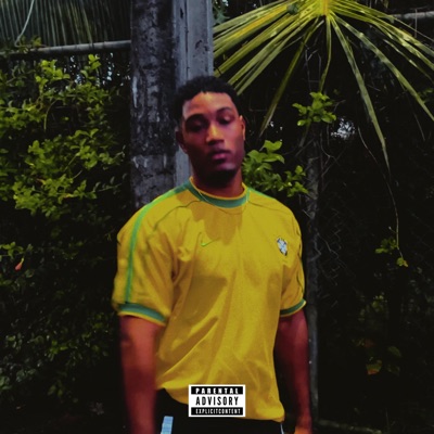 Dinheiro Vai e Volta - Single