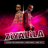 Ziyalila (feat. Cheezyman & Deep kvy) - Single - Poizon The Godfather