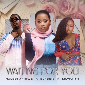 Waiting For You (feat. LilyFaith)