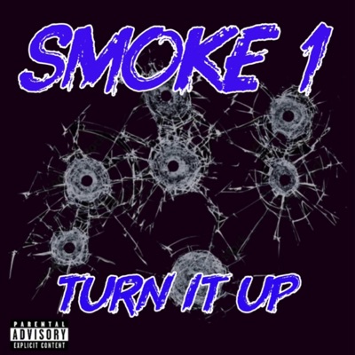 Turn It Up - Single