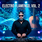 Electro Flamenco, Vol. 2