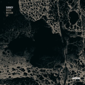 Basic Motion - EP