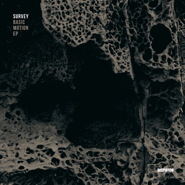 Basic Motion - EP