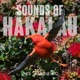 Sounds Of Hakalau EP