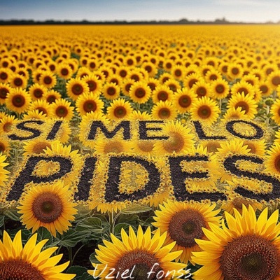 Si Me Lo Pides - Single