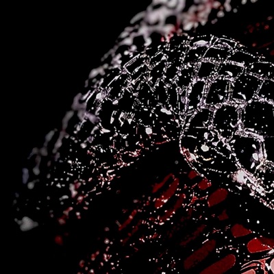 SE SIENTE CABRON - Single