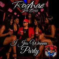 I Jus Wanna Party — Rodnae