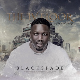 Player (feat. Subz) BlackSpade