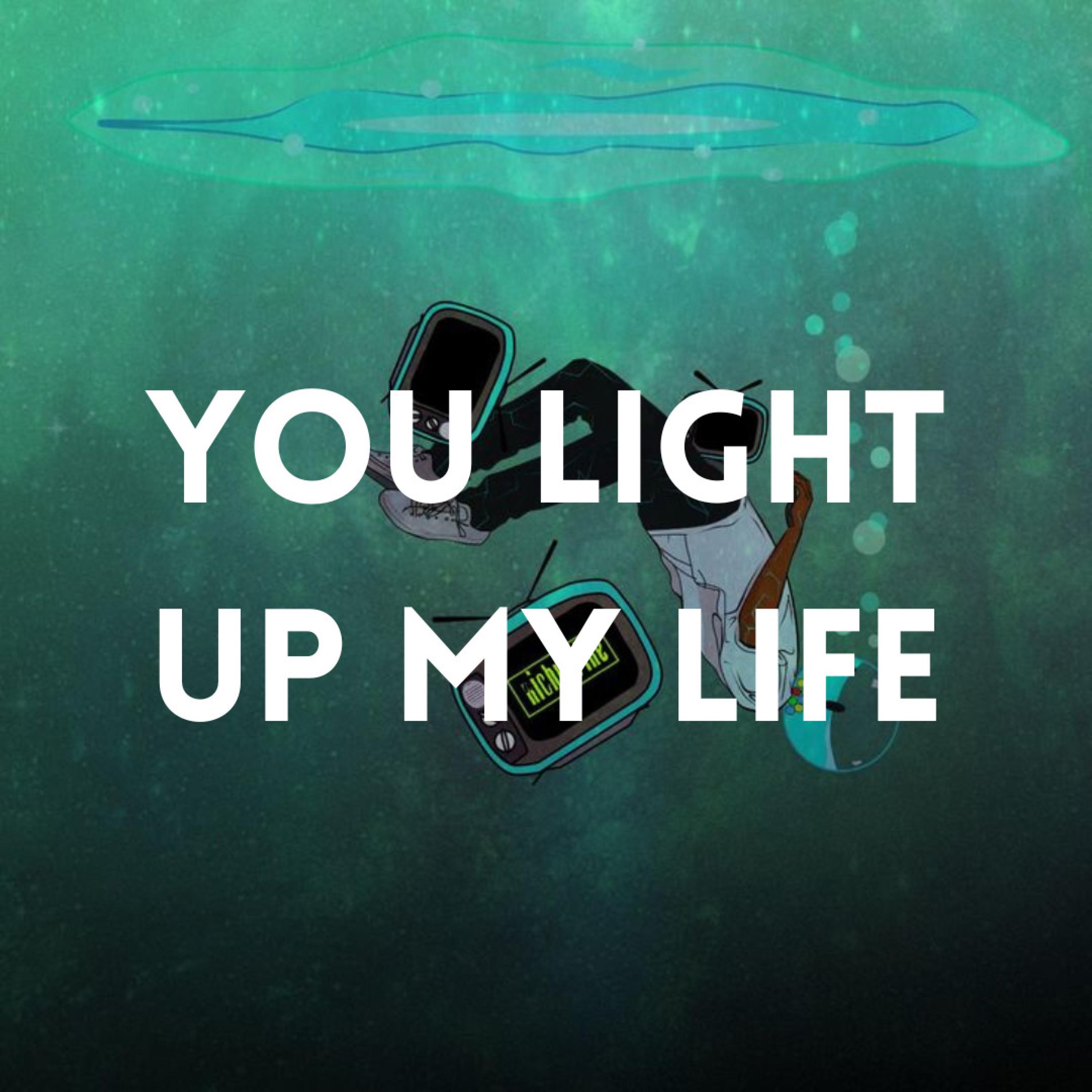 You Light Up My Life