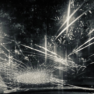 On the Loose - Single