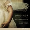 Georg Muffat Concerto Erbarm dich mein, o Herre Gott, SWV 447 Meine Seele (German Sacred Cantatas)