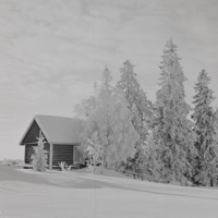 The Eastern Wall - Single - Timi Tamminen